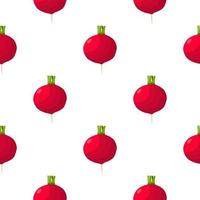 Illustration on theme of bright pattern red radish vector