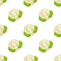 Illustration on theme of bright pattern cabbage vector