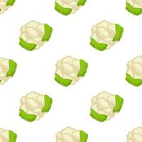 Illustration on theme of bright pattern cabbage vector