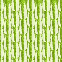 Simple colorful vegetable pattern from salad chinese cabbage vector