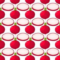 Illustration on theme of bright pattern red radish vector