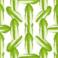 Simple colorful vegetable pattern from salad chinese cabbage vector