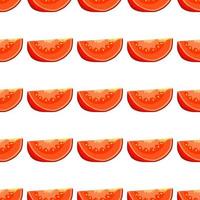 Illustration on theme of pattern red tomato vector