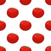 Illustration on theme of pattern red tomato vector