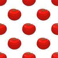 Illustration on theme of pattern red tomato vector