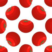 Illustration on theme of pattern red tomato vector