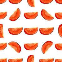 Illustration on theme of pattern red tomato vector