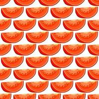 Illustration on theme of pattern red tomato vector