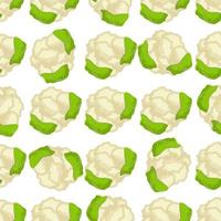 Illustration on theme of bright pattern cabbage vector