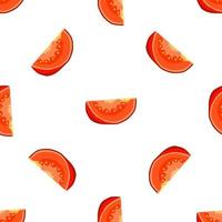 Illustration on theme of pattern red tomato vector