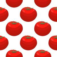 Illustration on theme of pattern red tomato vector