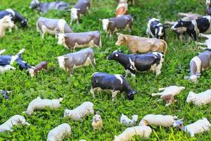 Toy animals to pasture photo