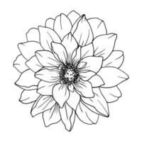 Decorative flower isolated white background. vector