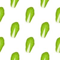 Simple colorful vegetable pattern from salad chinese cabbage vector