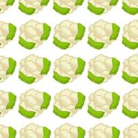 Illustration on theme of bright pattern cabbage vector