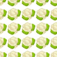 Illustration on theme of bright pattern cabbage vector