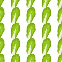 Simple colorful vegetable pattern from salad chinese cabbage vector