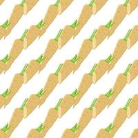 Illustration on theme of pattern plant parsnip vector