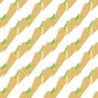 Illustration on theme of pattern plant parsnip vector