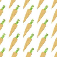 Illustration on theme of pattern plant parsnip vector