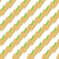 Illustration on theme of pattern plant parsnip vector