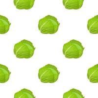 Illustration on theme of bright pattern rounded cabbage vector