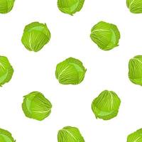 Illustration on theme of bright pattern rounded cabbage vector