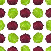 Illustration on theme of bright pattern rounded cabbage vector