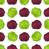 Illustration on theme of bright pattern rounded cabbage vector