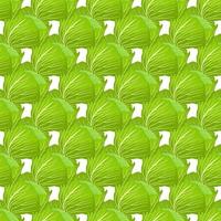 Illustration on theme of bright pattern rounded cabbage vector