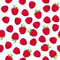 Theme big colored seamless red raspberry vector