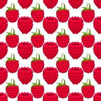 Theme big colored seamless red raspberry vector