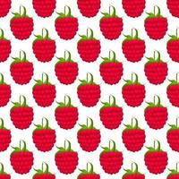 Theme big colored seamless red raspberry vector