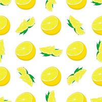 Illustration on theme big colored seamless yellow lemon vector