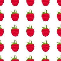 Theme big colored seamless red raspberry vector