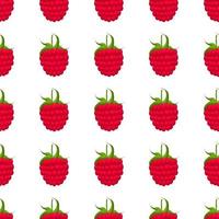 Theme big colored seamless red raspberry vector