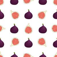 Illustration on theme big colored seamless purple fig vector