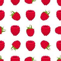 Theme big colored seamless red raspberry vector