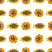 Illustration on theme big colored seamless papaya vector