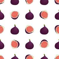 Illustration on theme big colored seamless purple fig vector