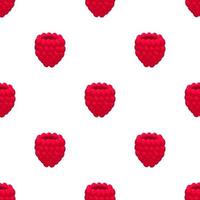 Theme big colored seamless red raspberry vector