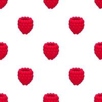 Theme big colored seamless red raspberry vector