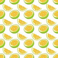 Illustration on theme big colored seamless pomelo vector