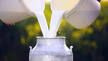 Bauer gießt Milch ein video