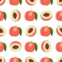 Illustration on theme big colored seamless peach vector