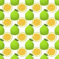 Illustration on theme big colored seamless pomelo vector