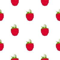 Theme big colored seamless red raspberry vector