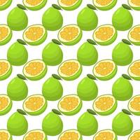 Illustration on theme big colored seamless pomelo vector