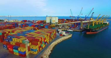 Containerzug im Hafen. video