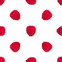 Theme big colored seamless red raspberry vector